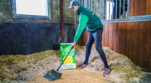 Man spreading Sun-e-bed straw pellets on stable floor