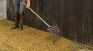 A person raking sun-e-bed pellets on a stable floor