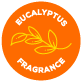 Eucalyptus fragrance icon