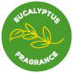 Eucalyptus fragrance icon