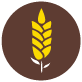 Ear of wheat icon