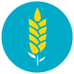 Ear of wheat icon