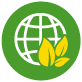 Globe and leaves icon