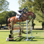 Woman on a chestnut brown horse jumping a showjump an arena