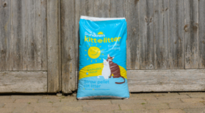 Kitt-e-litter bag in front of wooden door