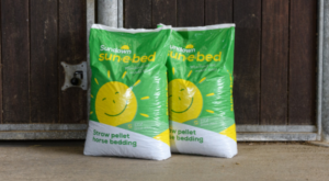 Two sun-e-bed bags outside a stable door