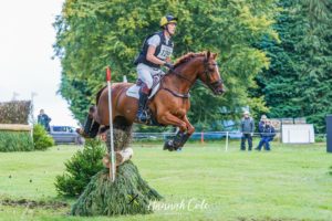 a man rides a chestnut horse over a brush cross country jump