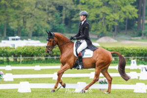 a man rides a chestnut horse in a dressage arena