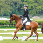 man riding a chestnut horse in a dressage arena