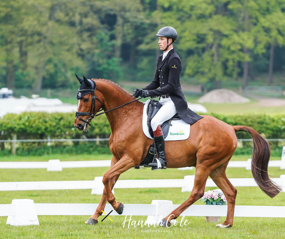 man riding a chestnut horse in a dressage arena