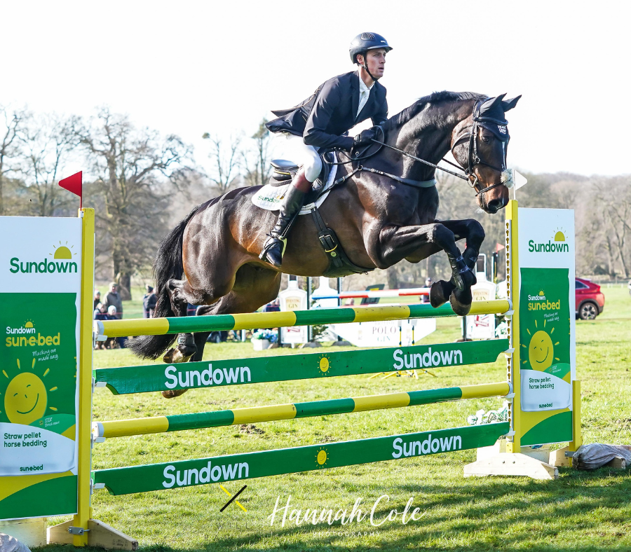 a man on a dark brown horse jumps over a green and yellow Sundown-branded showjump