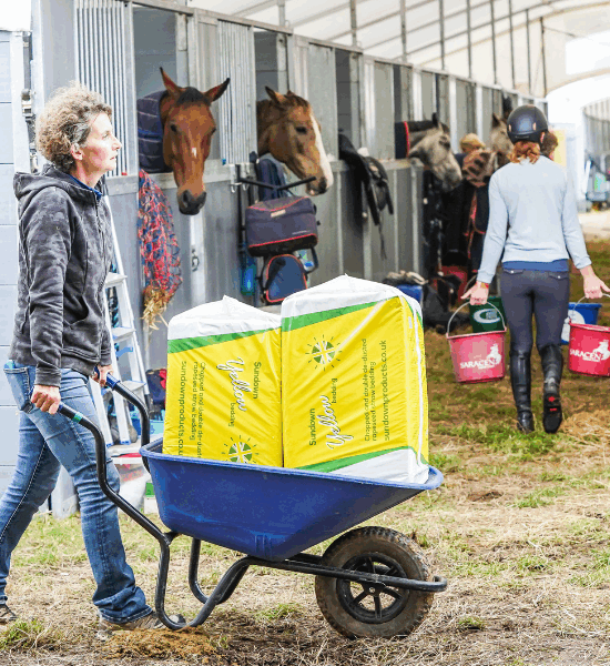 A woman wheels a wheelbarrow with two bales of Sundown Yellow bedding in front of an avenue of event stables