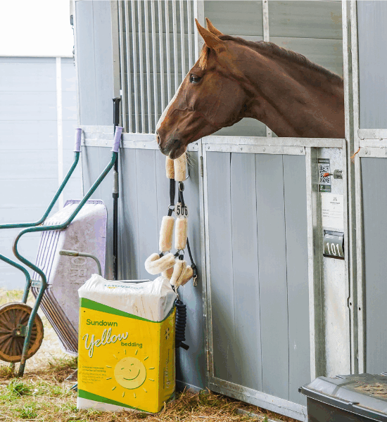 a bale of Sundown Yellow bedding outside a stable with a horses head over the door