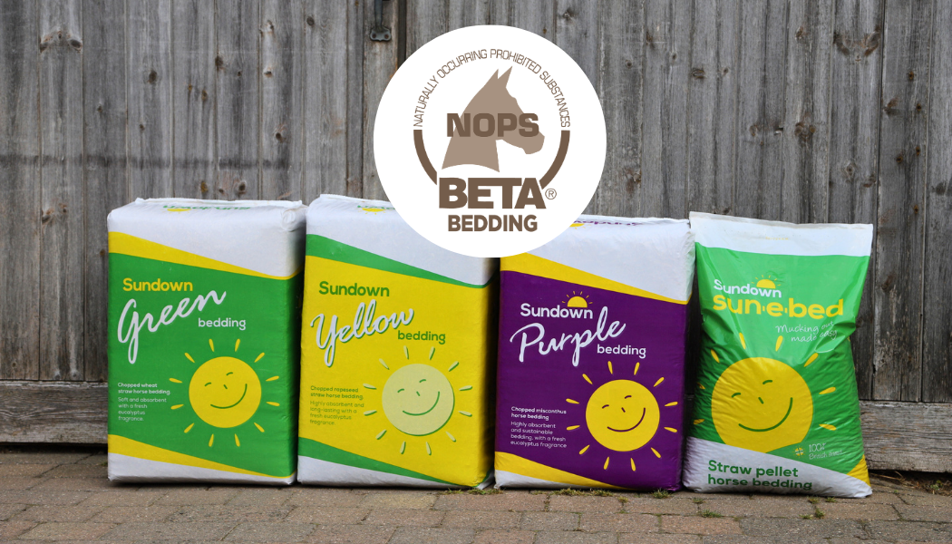 A rown of SUndown horse bedding bales in a row against a wooden door, with the NOPS bedding logo